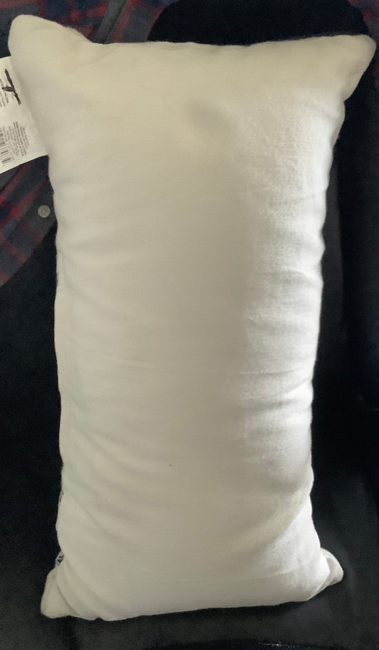 OUTDOOR PILLOW 24 in w X 12 in L