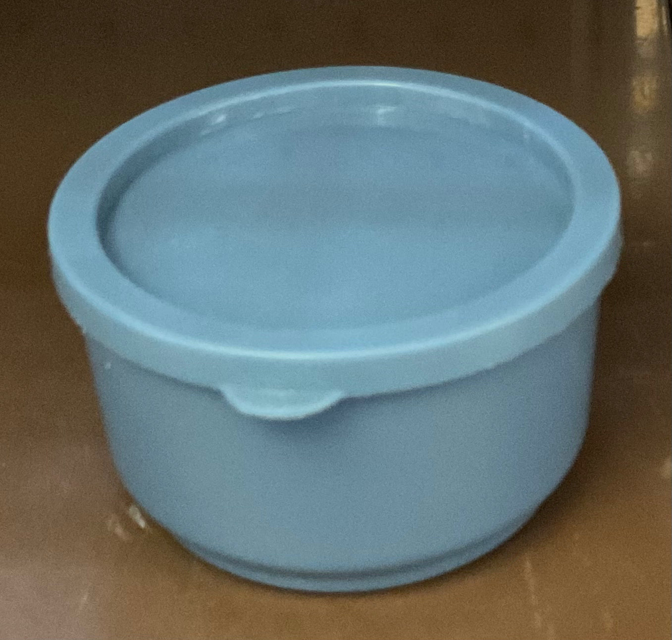 Blue Small Snack Container