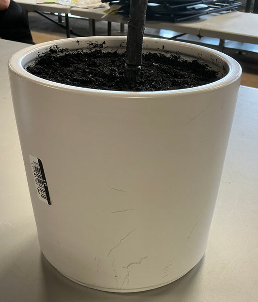 Potted faux plant - COSMETIC FLAWS ON PLANTER - PICK UP ONLY