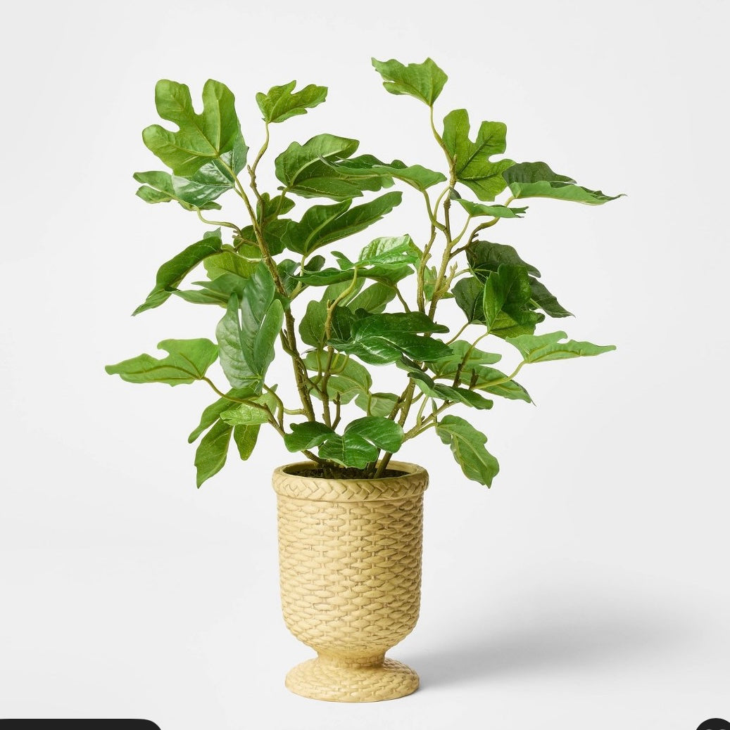 Fig leaf arrangement - AS IS - SOME MINOR COSMETIC FLAWS