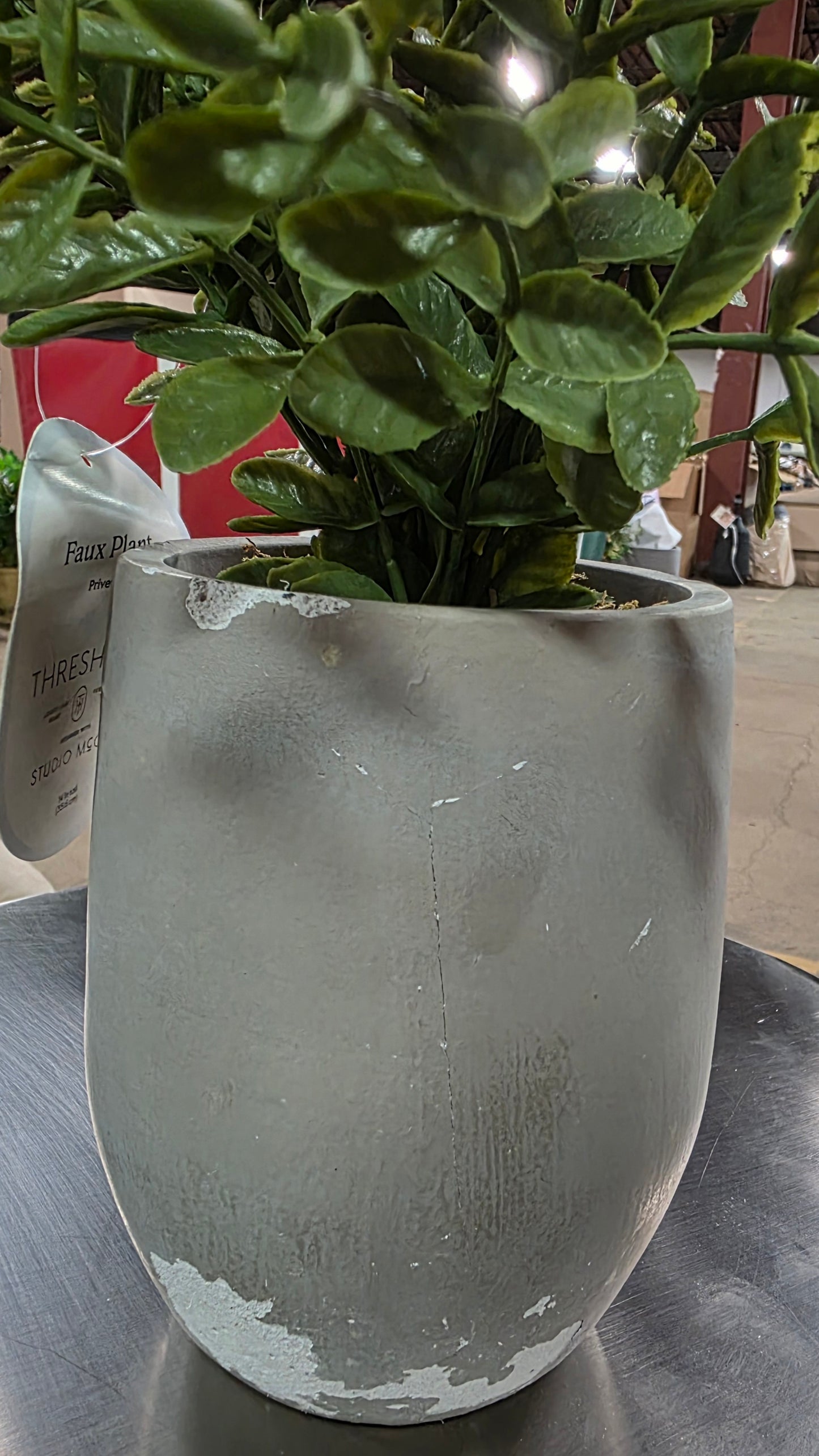 14" Artificial Potted Privet - Threshold™ designed with Studio McGee AS-IS