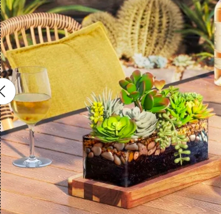 Medium Glass Terrarium with Wood Base Rectangular Natural Wood 10.83"x5.59"x4" - Threshold™