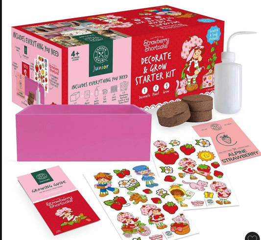 Garden Republic Jr. Strawberry Shortcake Decorate and Grow Starter Kit