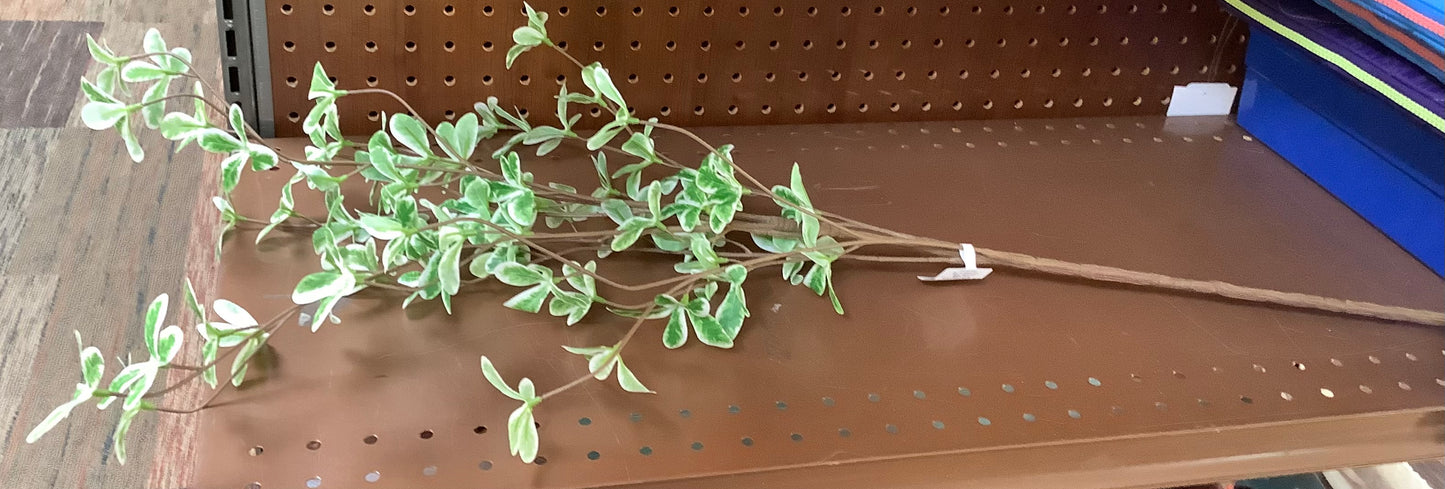 36" Faux Variegated Terminalia Leaf Branch