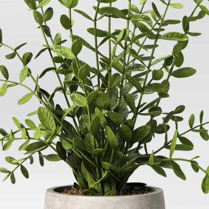 14" Artificial Potted Privet  - SOME COSMETIC DAMAGE (see pictures)