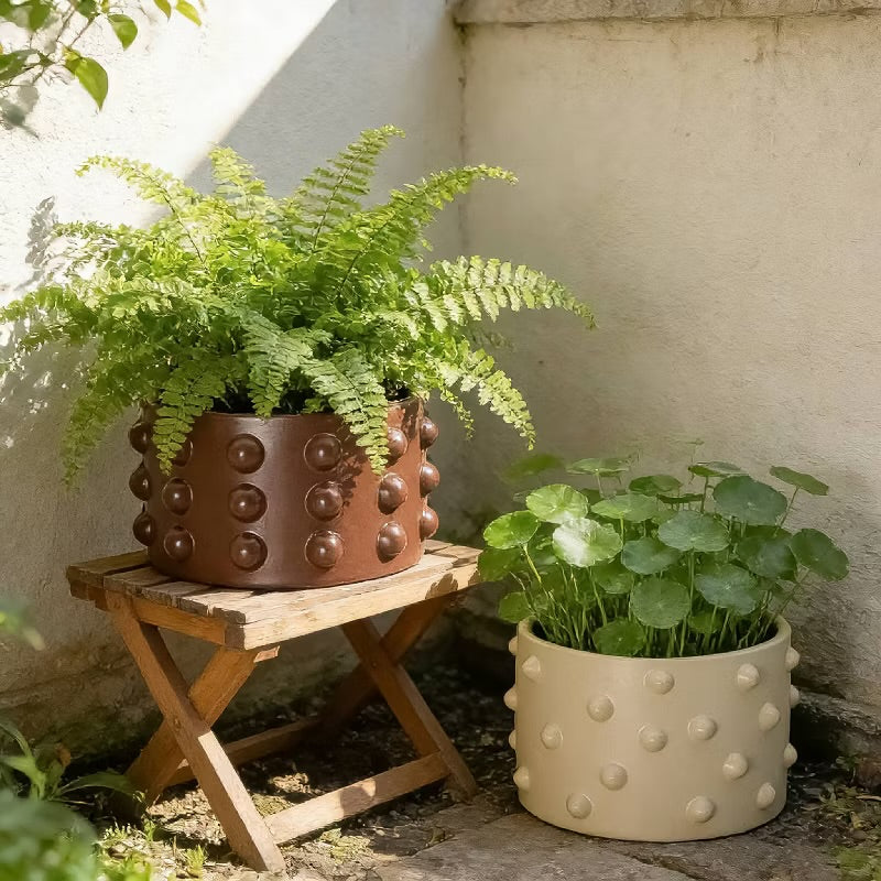 A.I.M 5" Raised Dot Textured Inventive Planter - Brown - FOR PICKUP ONLY