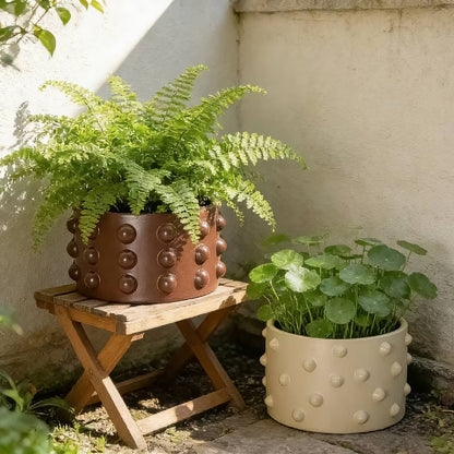 A.I.M 5" Raised Dot Textured Inventive Planter - Brown - FOR PICKUP ONLY