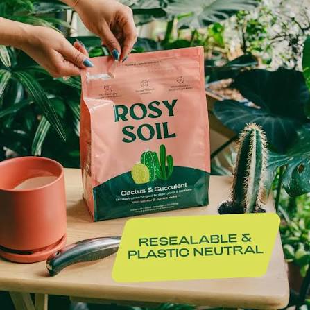 Rosy Soil Mix - Organic Peat Free Soil with Biochar for Strong Growth & Flavor, Well Draining Potting Mix, 4 qt - FOR PICK UP ONLY