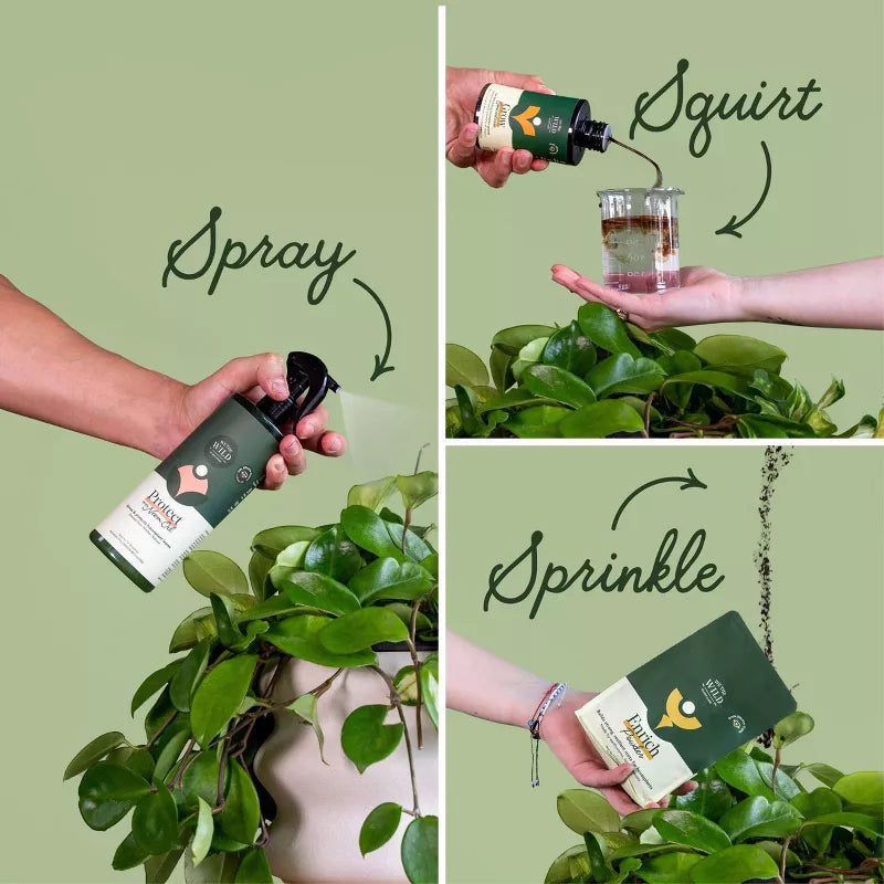 WE THE WILD Houseplant Essentials Kit Organic Easy 3-Step Care - Minor Box Damage (see pictures)