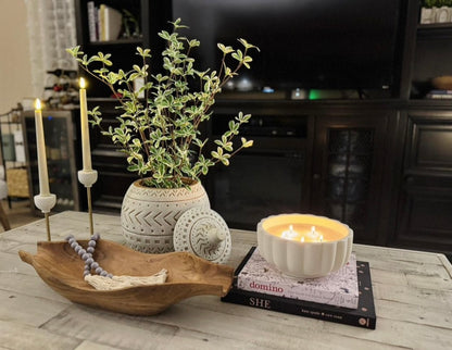 36" Faux Variegated Terminalia Leaf Branch