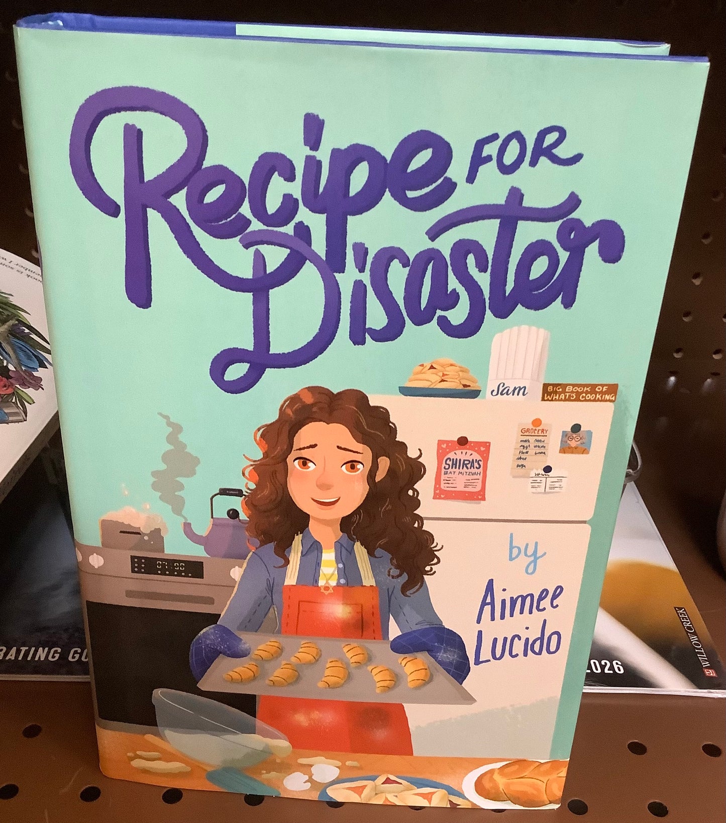 Recipe for Disaster - by Aimee Lucido (Hardcover)