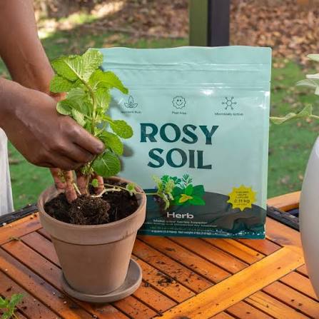 Rosy Soil Mix - Organic Peat Free Soil with Biochar for Strong Growth & Flavor, Well Draining Potting Mix, 4 qt - FOR PICK UP ONLY