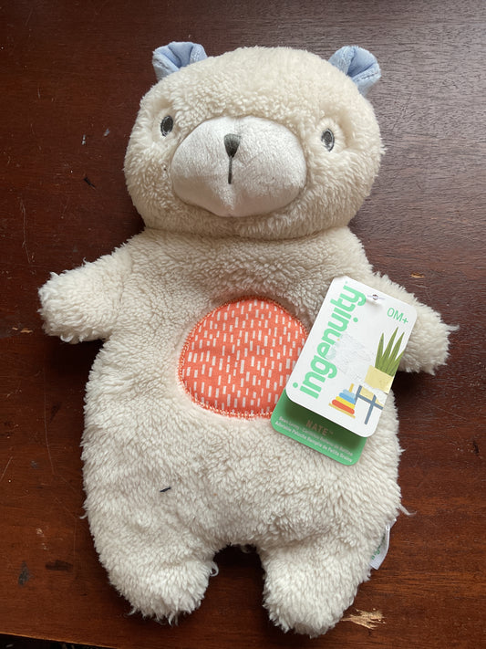 Bean Bag Plush Teddy Bear