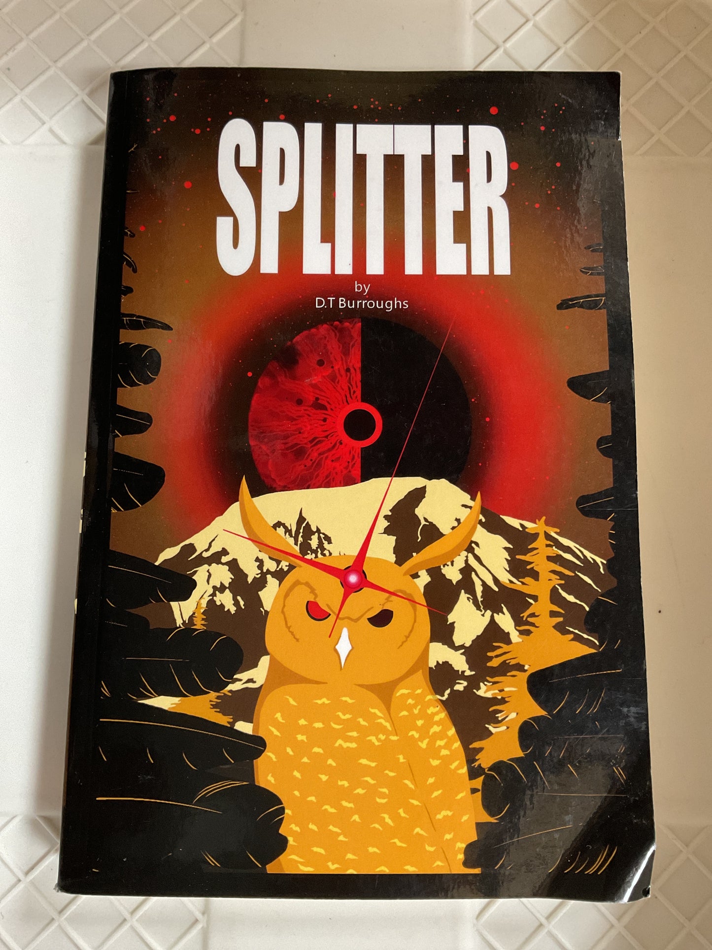 Splitter Book by D. T Burroughs