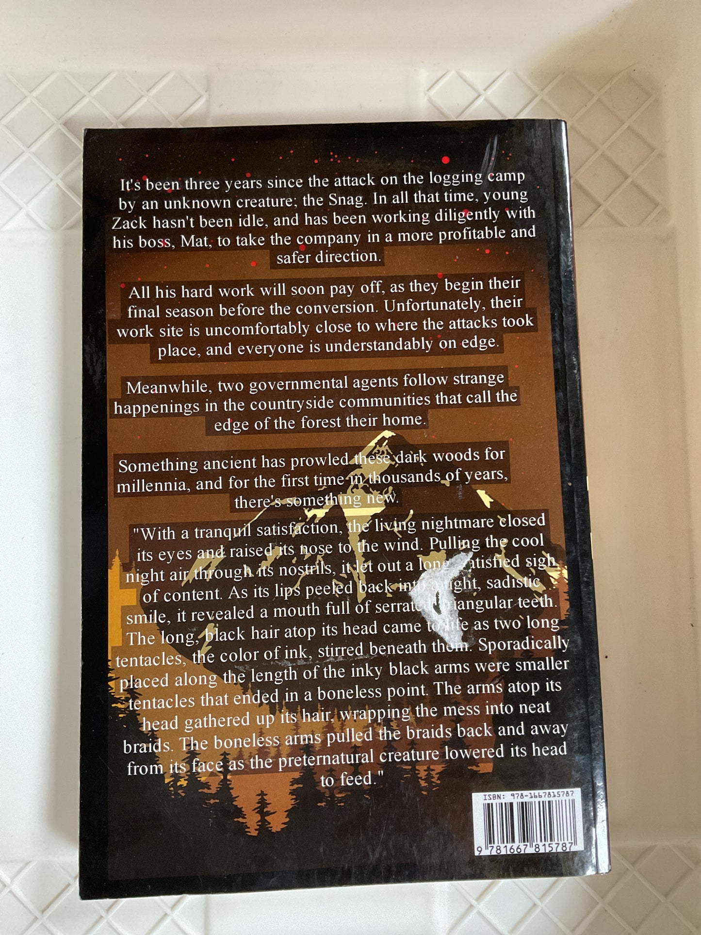 Splitter Book by D. T Burroughs