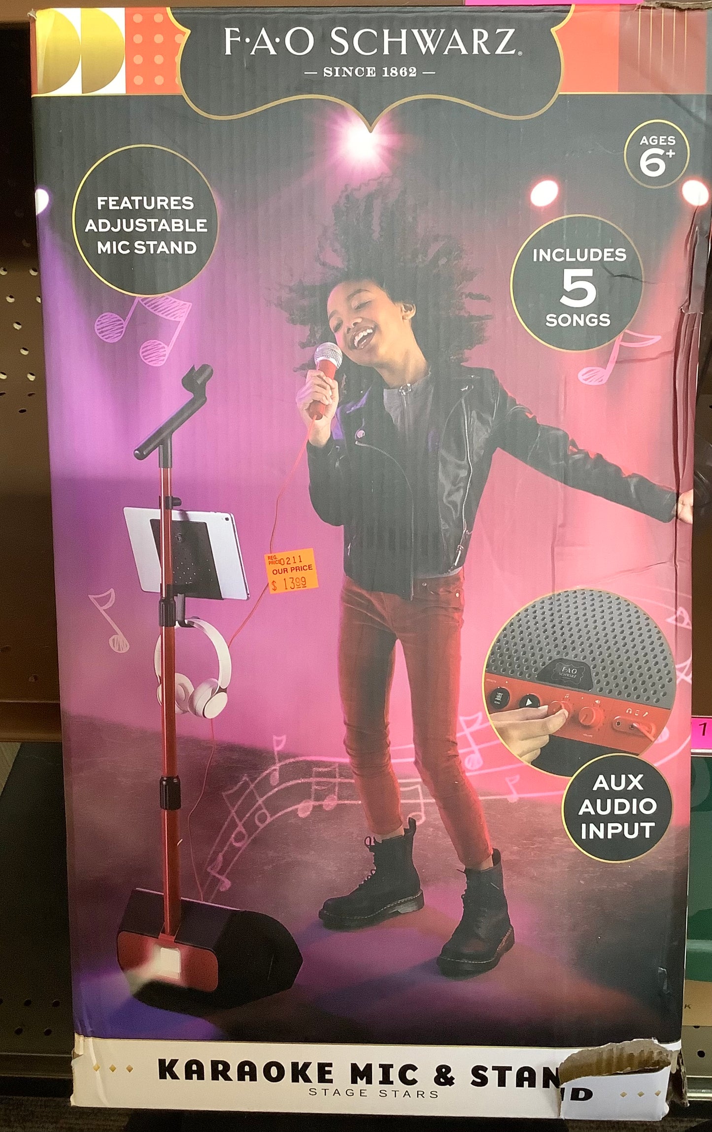 Karaoke Mic & Stand