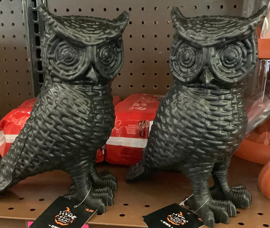 HALLOWEEN INDOOR DECORATION