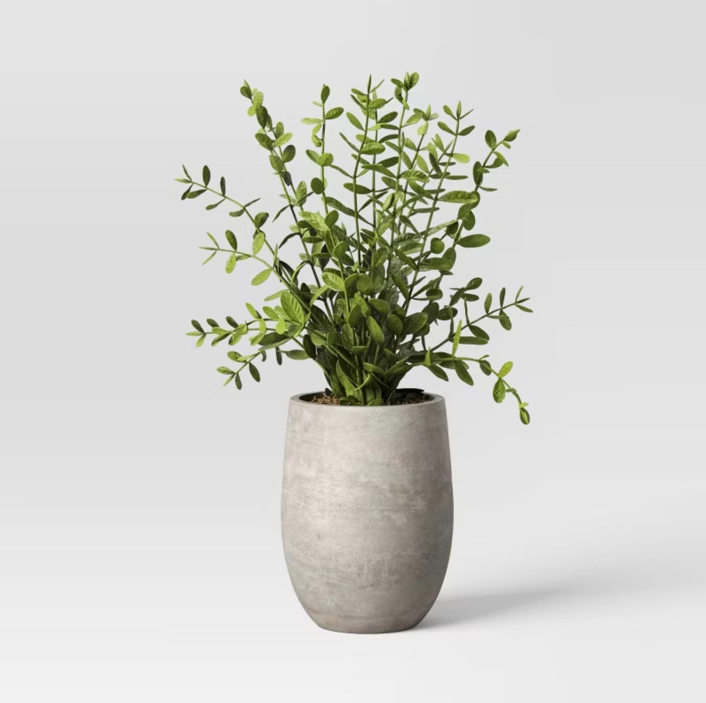 14" Artificial Potted Privet  - SOME COSMETIC DAMAGE (see pictures)