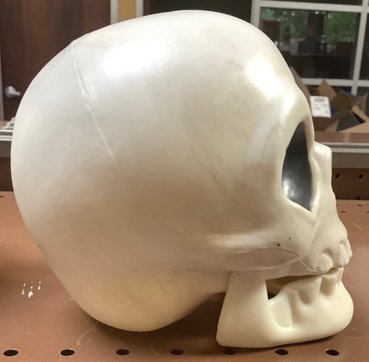 Halloween Skull