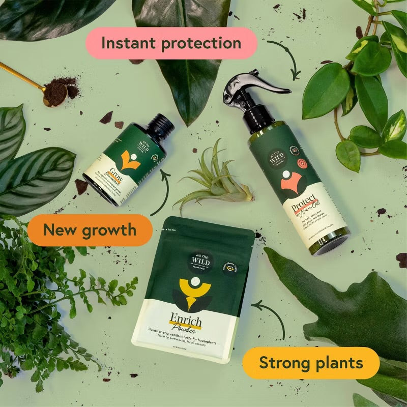 WE THE WILD Houseplant Essentials Kit Organic Easy 3-Step Care - Minor Box Damage (see pictures)