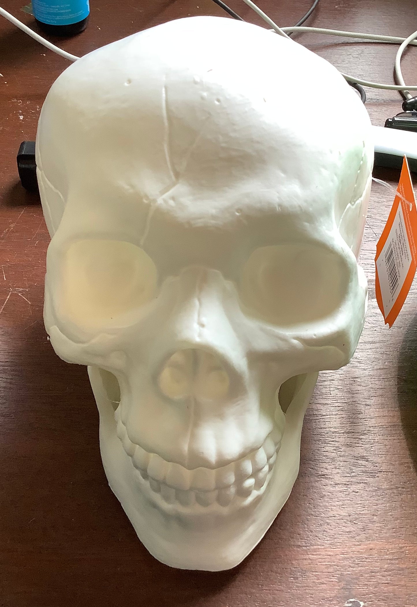 INDOOR/ OUTDOOR DECORATIVE SKULL HEAD