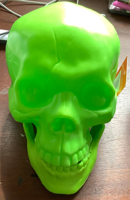 INDOOR/ OUTDOOR DECORATIVE SKULL HEAD
