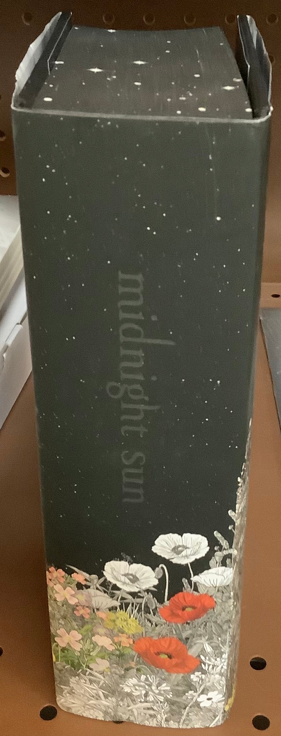 Twilight Midnight Sun