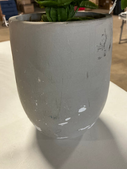 14" Artificial Potted Privet  - SOME COSMETIC DAMAGE (see pictures)