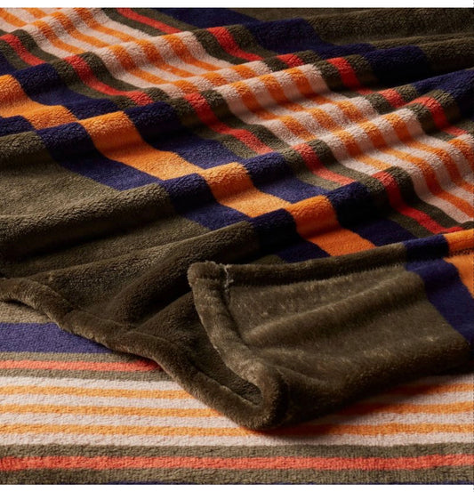 Twin/Twin XL Microplush Blanket - Green Border Stripe