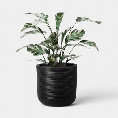 Fluted Outdoor Planters - Assorted Sizes - Minor Cosmetic Damage (see pictures) - FOR PICKUP ONLY