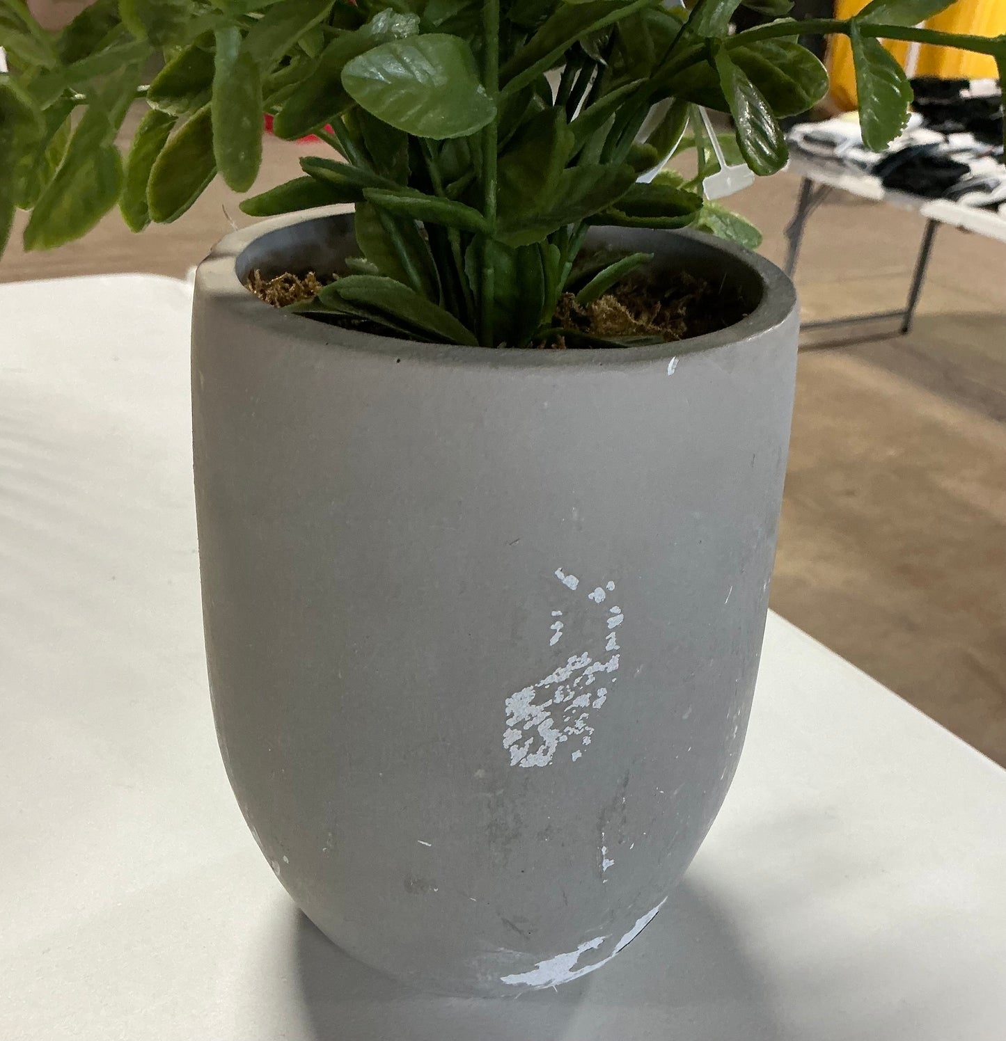 14" Artificial Potted Privet  - SOME COSMETIC DAMAGE (see pictures)
