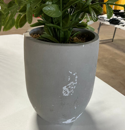 14" Artificial Potted Privet  - SOME COSMETIC DAMAGE (see pictures)