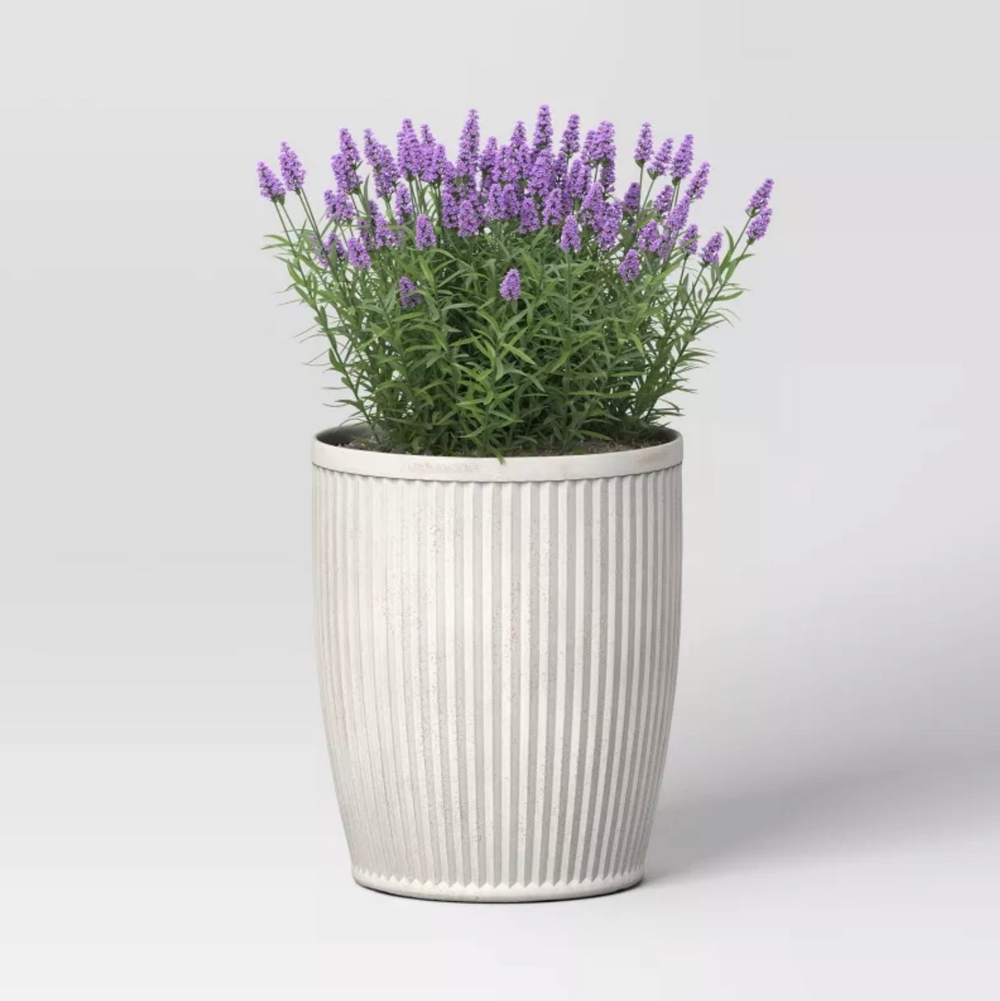 Weathered Ribbed Composite Indoor Outdoor Planter Pot - Off White - May Have Minor Cosmetic Damage (see pictures) - FOR PICKUP ONLY