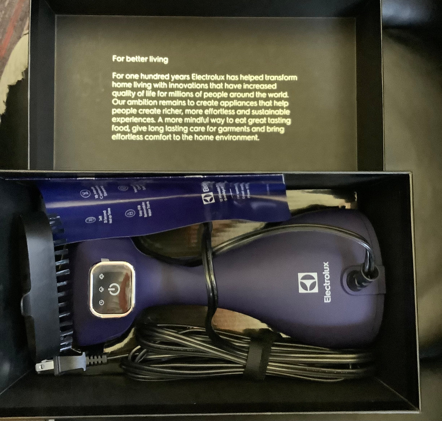 Electrolux Handheld Steamer Blue