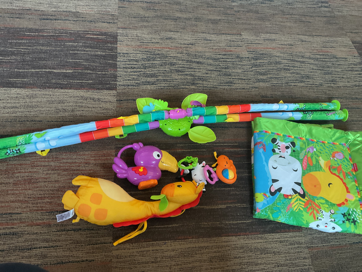 Rainforest Deluxe Gym