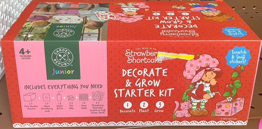 Garden Republic Jr. Strawberry Shortcake Decorate and Grow Starter Kit