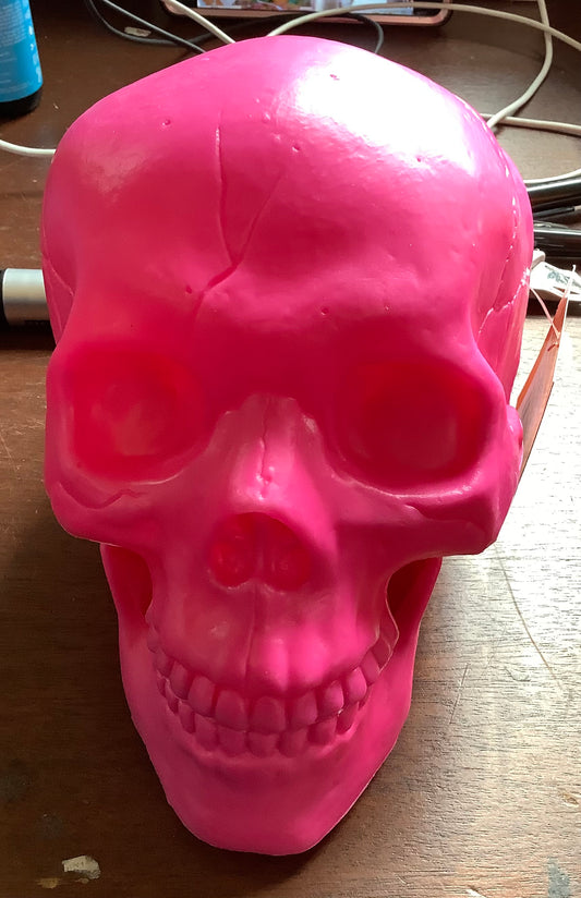 INDOOR/ OUTDOOR DECORATIVE SKULL HEAD