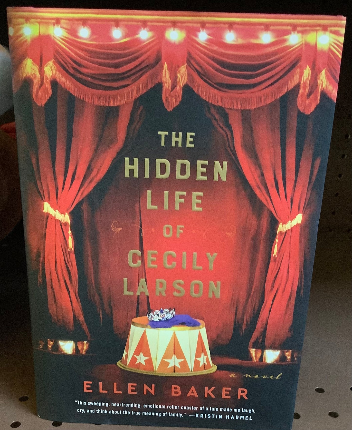 The Hidden Life of Cecily Larson - by Ellen Baker (Hardcover)
