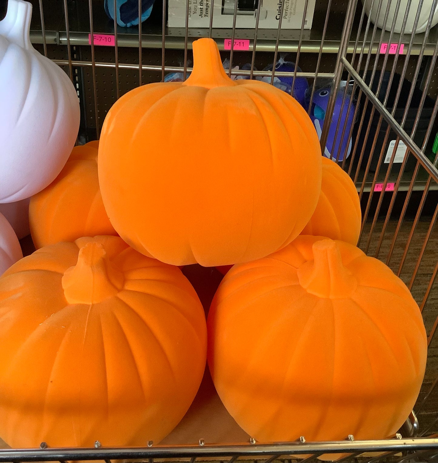 INDOOR VELVET PUMPKIN