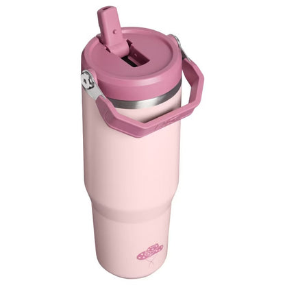 Stanley 30oz Stainless Steel IceFlow 2.0 Flip Straw Tumbler - MINOR COSMETIC DAMAGE DUE TO SHIPPING (see pictures)