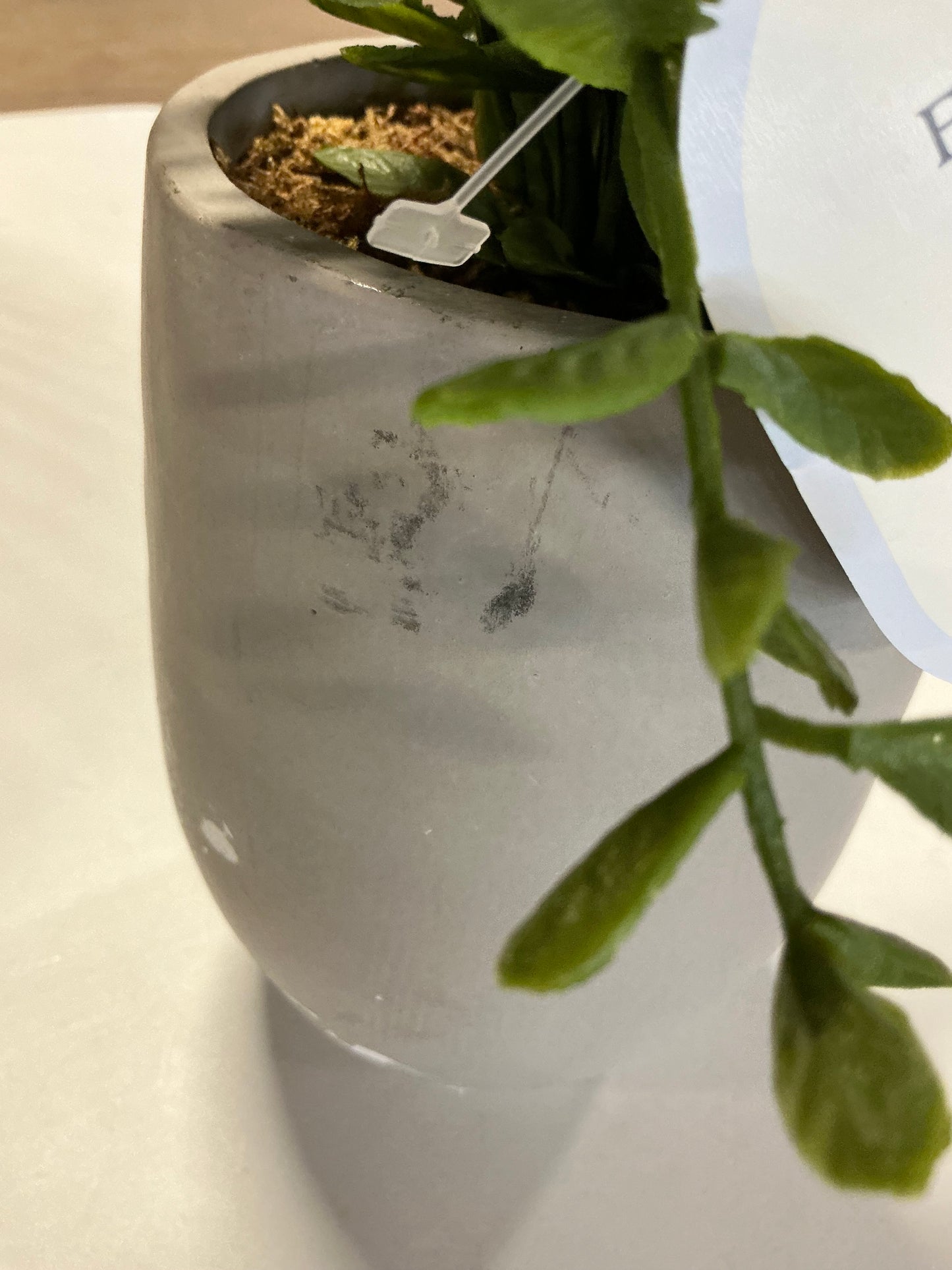 14" Artificial Potted Privet  - SOME COSMETIC DAMAGE (see pictures)