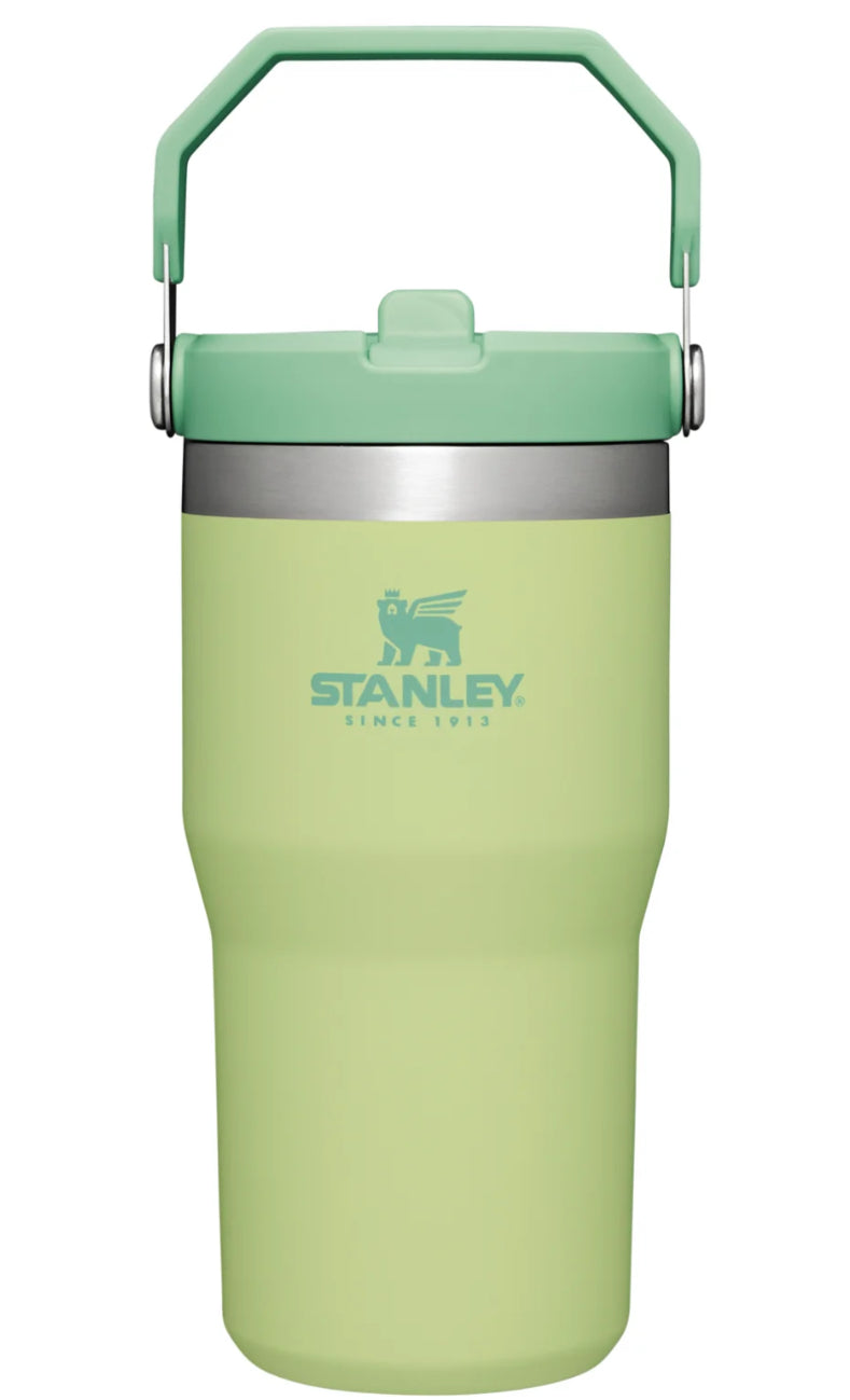 Stanley flip straw tumbler 20oz