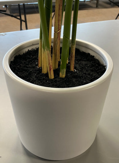Potted faux plant - PICK UP ONLY