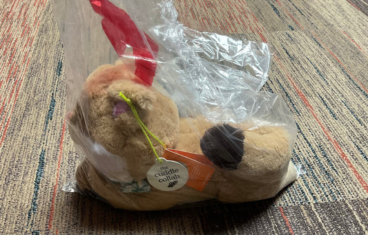 (CLEARANCE) Maple Plush Toy - The Cuddle Collab with Maple
Cat