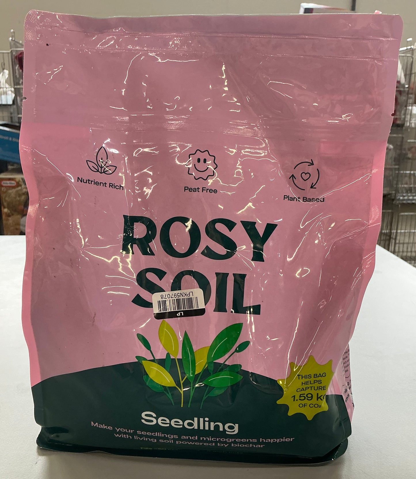 Rosy soil seeding 4 quarts