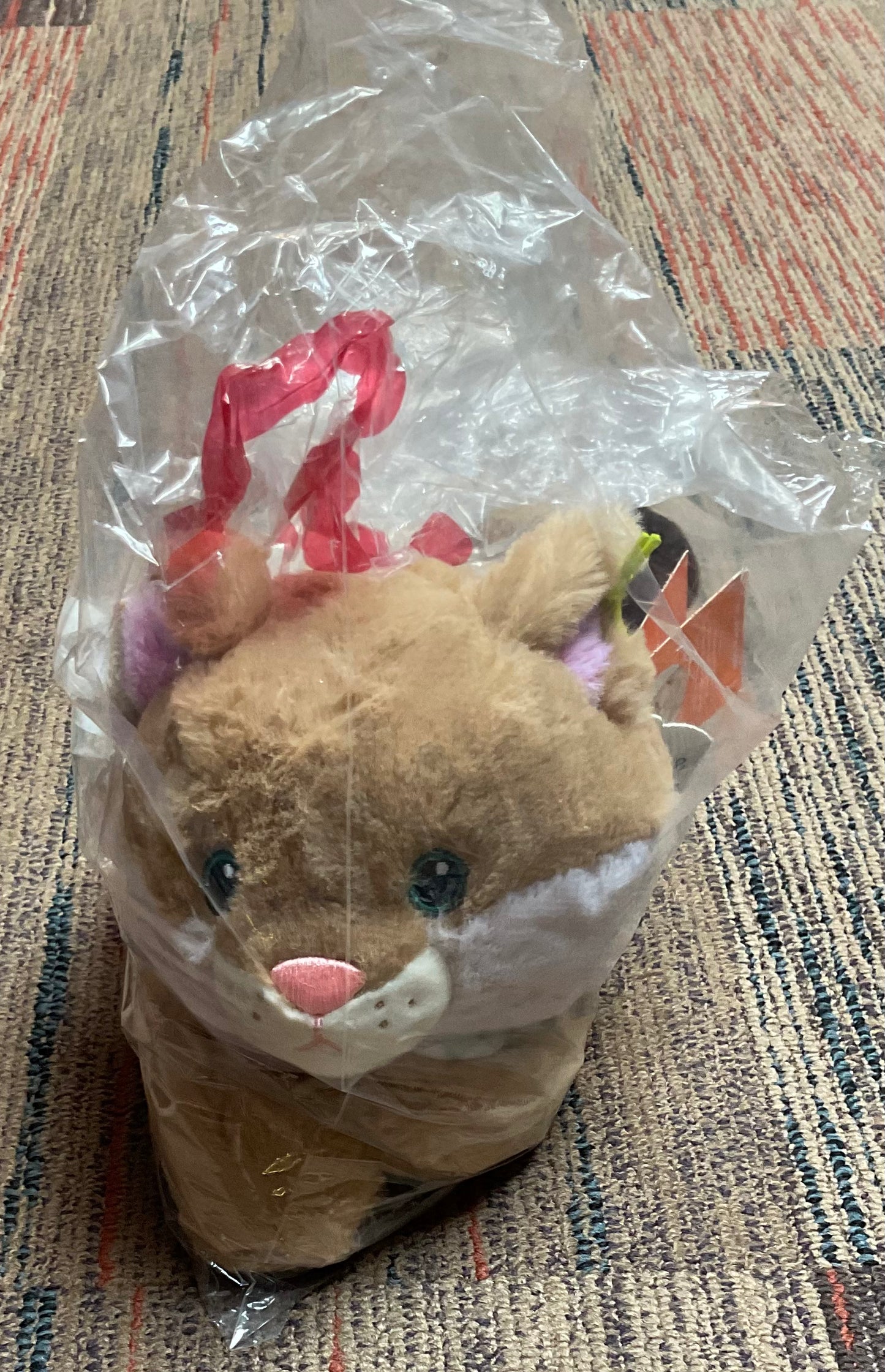 (CLEARANCE) Maple Plush Toy - The Cuddle Collab with Maple
Cat