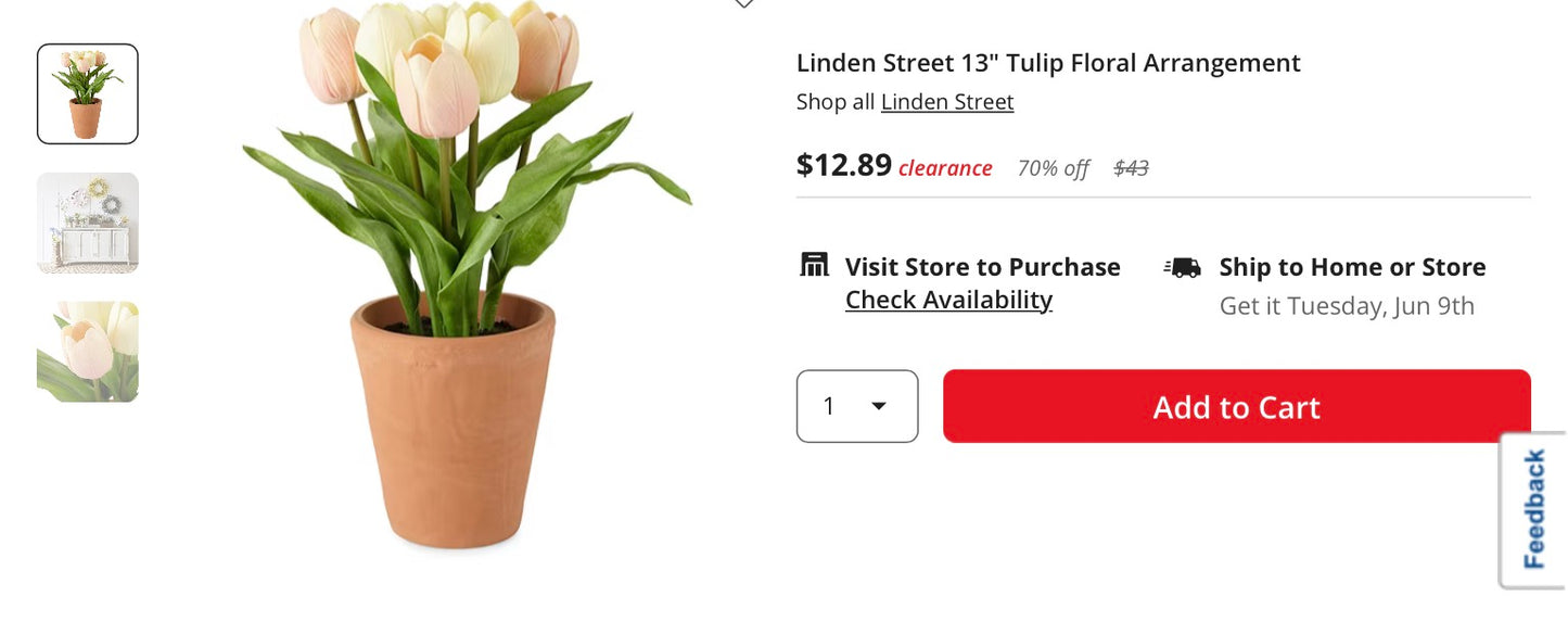 Thrifty 70- Linden Street 13" Tulip Floral Arrangement- never used only has some minor scratches around the base- As is- Final sale- No return