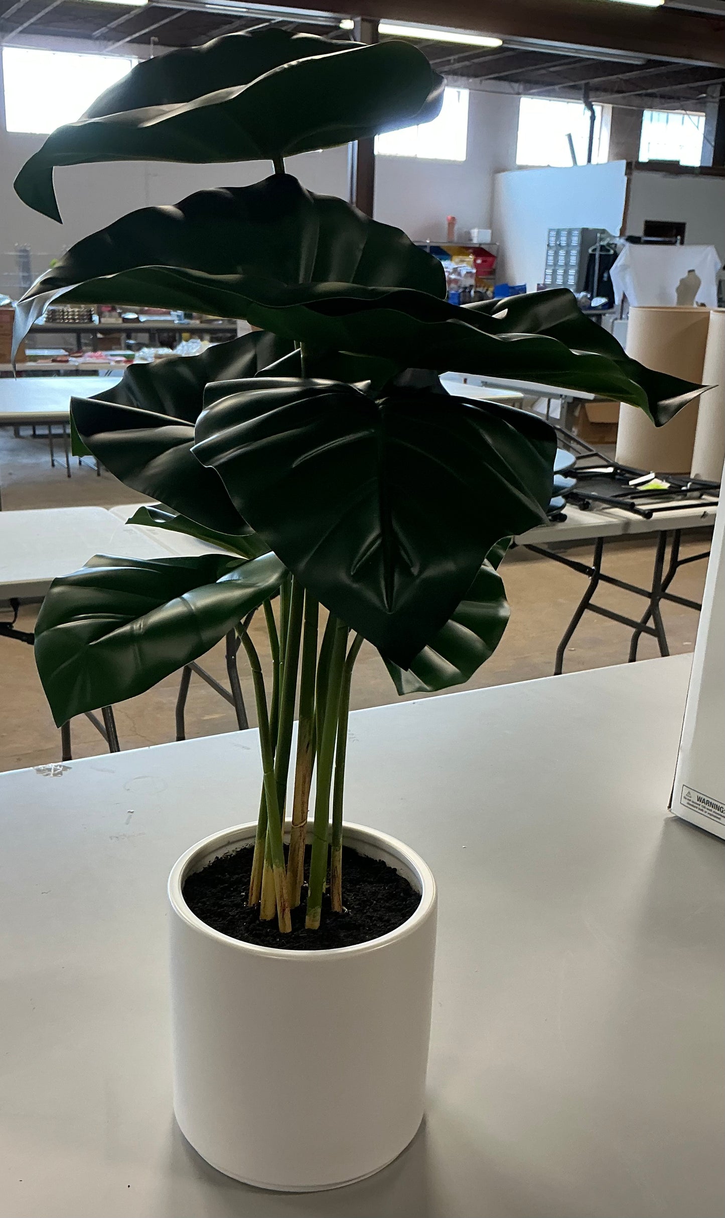 Potted faux plant - PICK UP ONLY