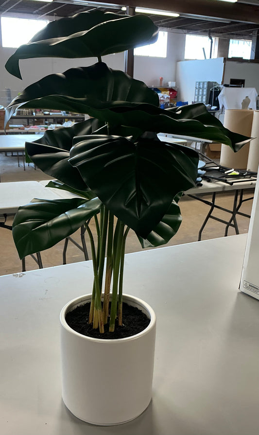 Potted faux plant - PICK UP ONLY