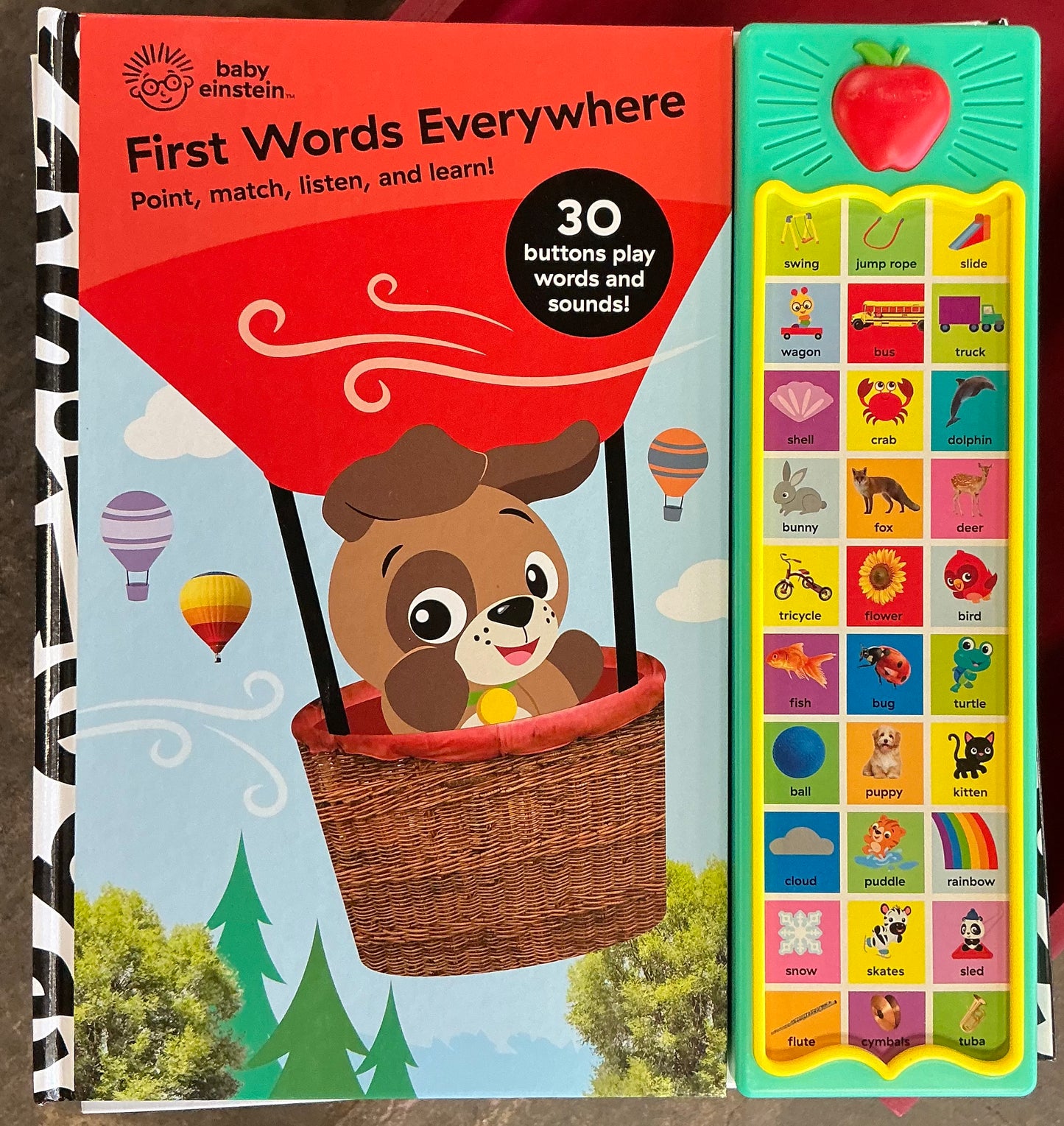 Baby Einstein: First Words Everywhere Sound Book